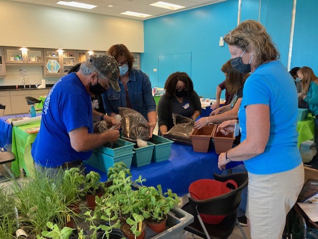 Gardening with Cindy